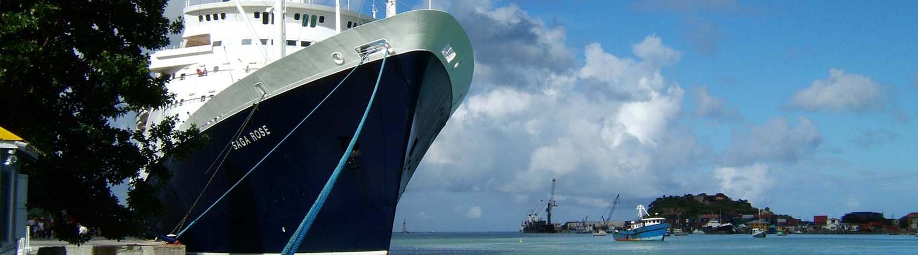 Holiday/Cruisewear Trousers